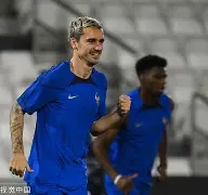 欧博官网-意甲比赛回放